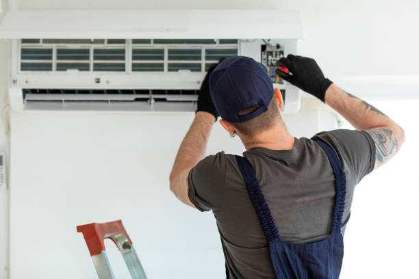 Best Air Duct Mold Removal  in Goodrich, MI