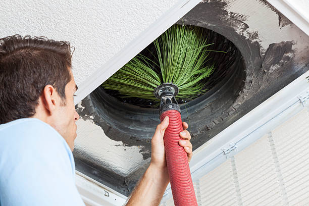 Best HVAC Duct Inspection Services  in Goodrich, MI