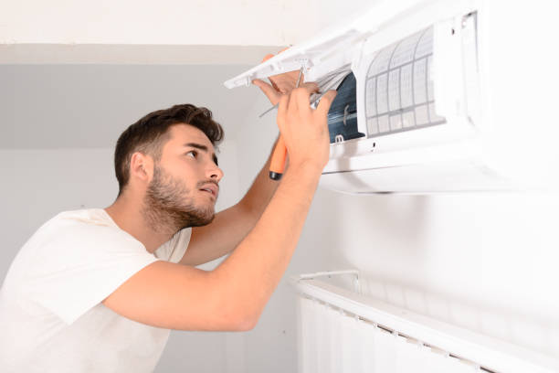 Best Air Duct Mold Removal  in Goodrich, MI